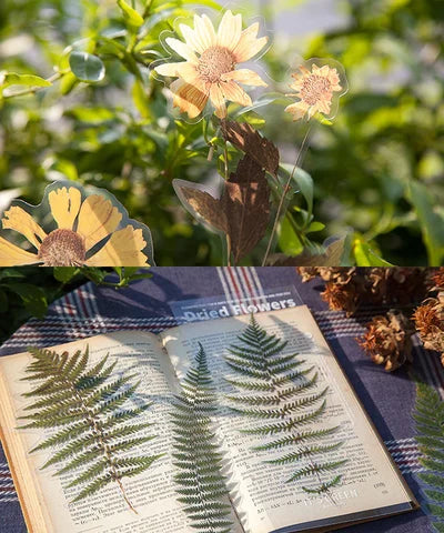 48-Piece Large Dried Flower Sticker Set