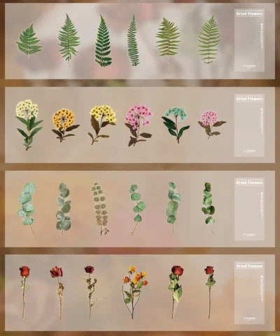 48-Piece Large Dried Flower Sticker Set