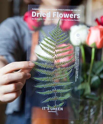 48-Piece Large Dried Flower Sticker Set