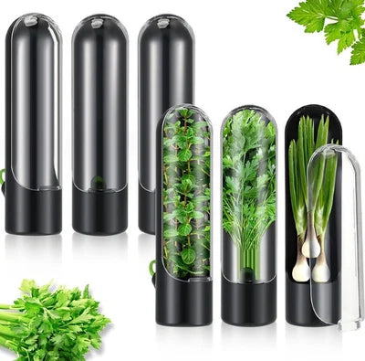 Fresh Keeping Box for Vegetables