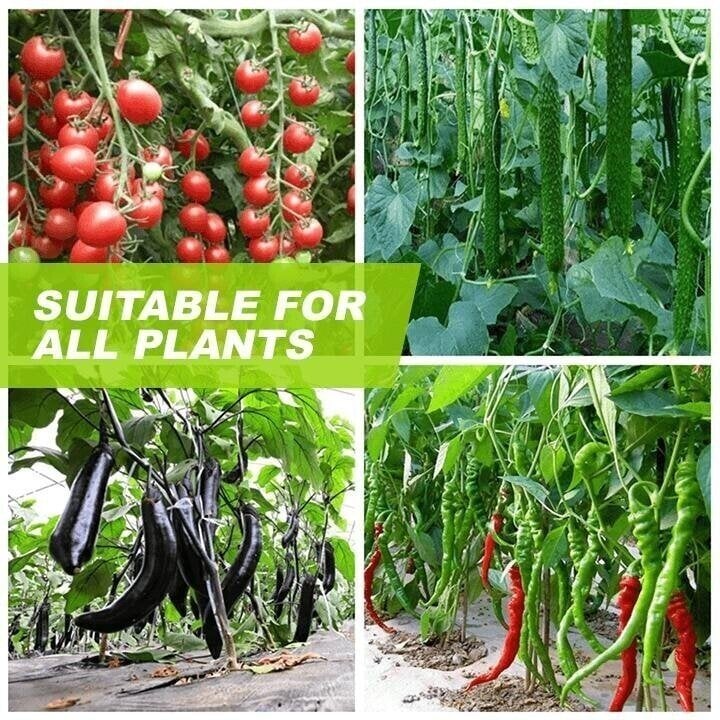 Magical Hydroponic Liquid Fertilizer