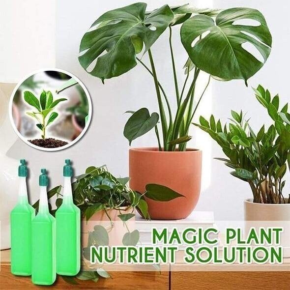 Magical Hydroponic Liquid Fertilizer