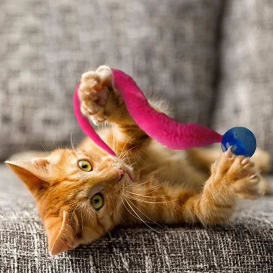 Wackelball für Katzen