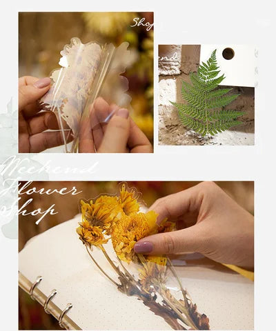 48-Piece Large Dried Flower Sticker Set