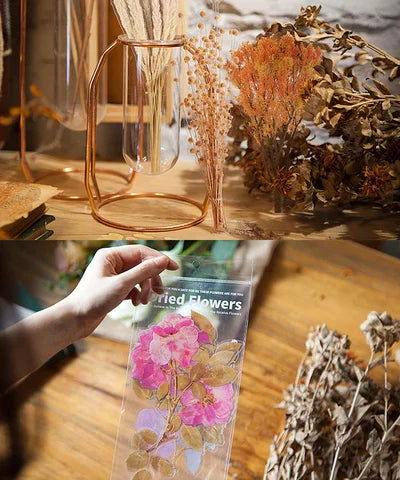 48-Piece Large Dried Flower Sticker Set