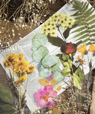 48-Piece Large Dried Flower Sticker Set