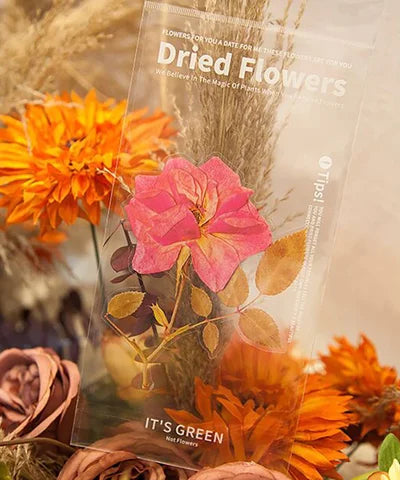 48-Piece Large Dried Flower Sticker Set
