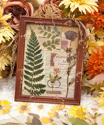 48-Piece Large Dried Flower Sticker Set