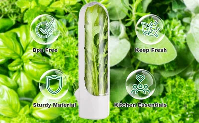 Fresh Keeping Box for Vegetables