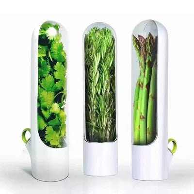 Fresh Keeping Box for Vegetables