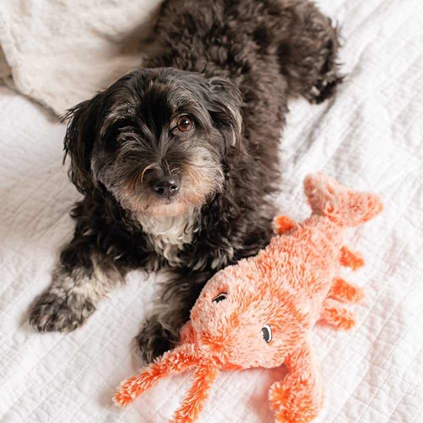 Interactive Dog Toy with Lobster