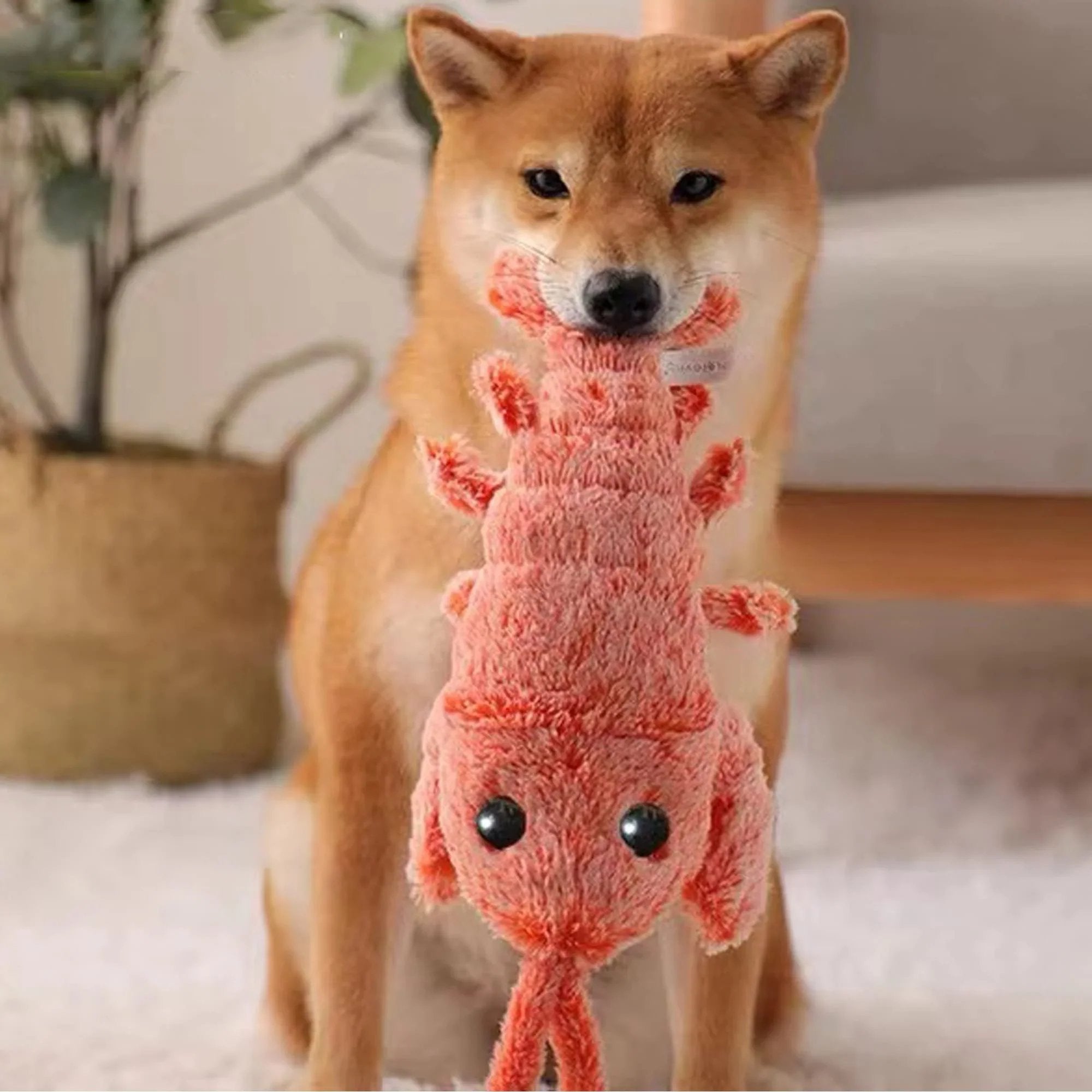 Interactive Dog Toy with Lobster