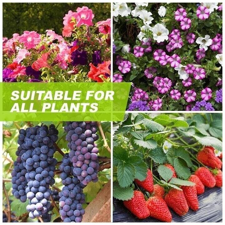 Magical Hydroponic Liquid Fertilizer