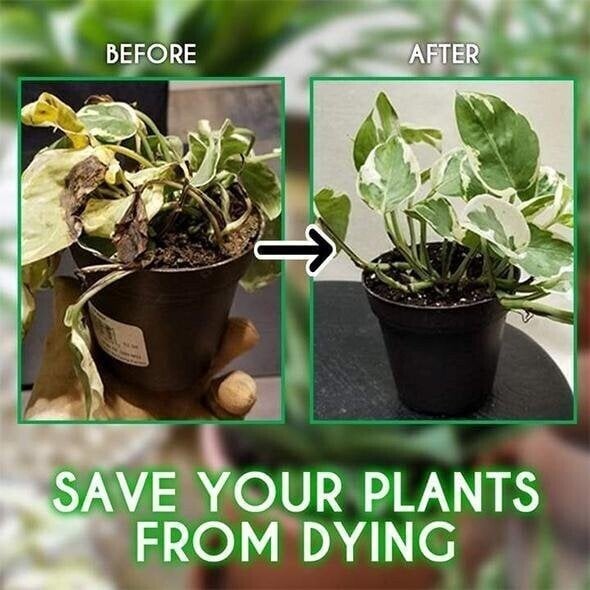 Magical Hydroponic Liquid Fertilizer