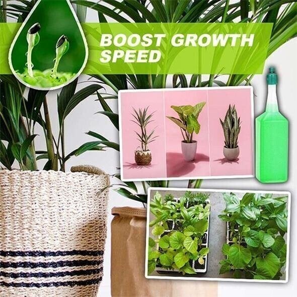 Magical Hydroponic Liquid Fertilizer