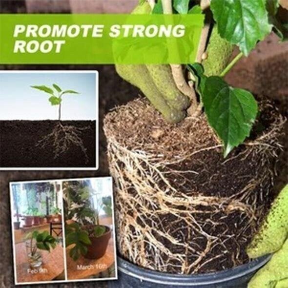 Magical Hydroponic Liquid Fertilizer