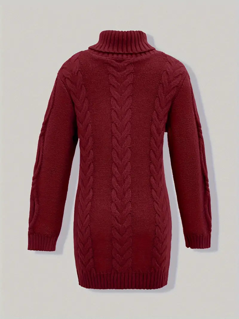 Narda - Chunky Knit Turtleneck Dress
