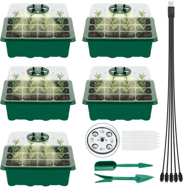 Seed Container with Growth Light