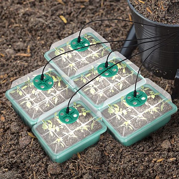 Seed Container with Growth Light
