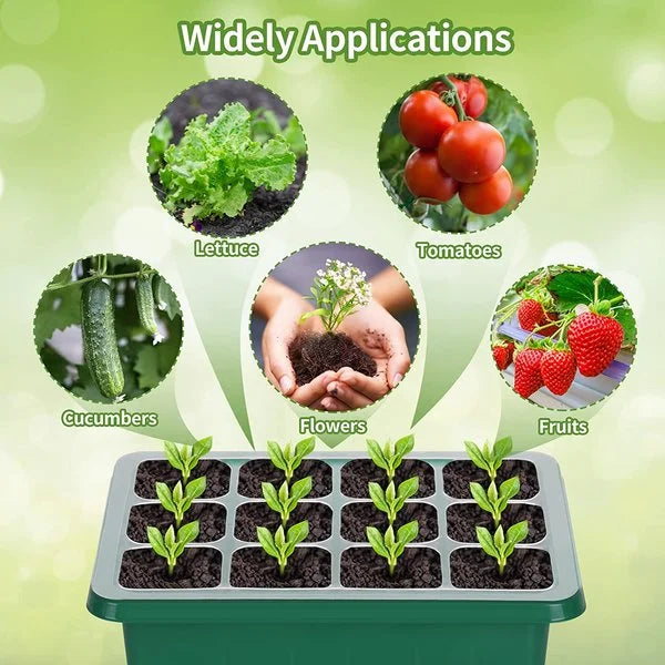 Seed Container with Growth Light