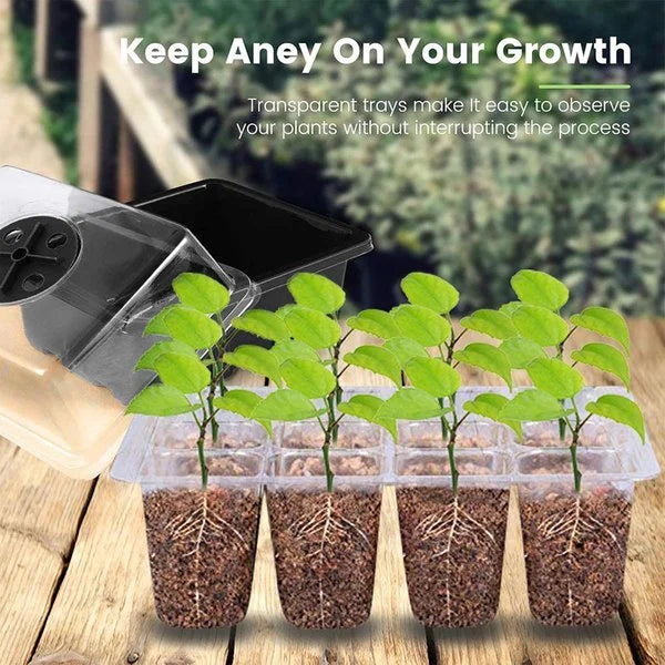 Seed Container with Growth Light