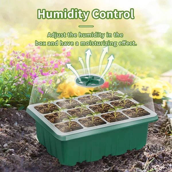 Seed Container with Growth Light