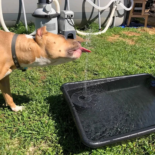 Solar-Powered Water Fountain