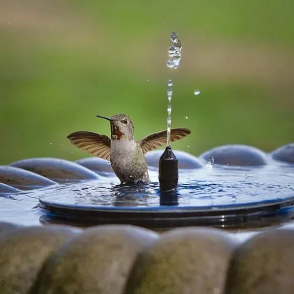 Solar-Powered Water Fountain