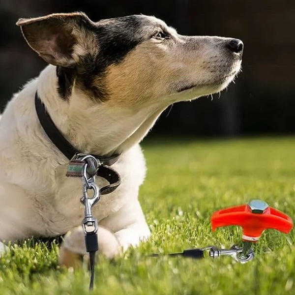 SpinSecure - Screw-in Tent Pegs
