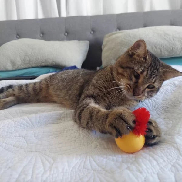 Wackelball für Katzen