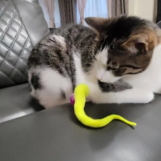 Wackelball für Katzen